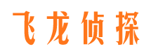 渑池找人公司